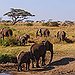 BucketList + Africa: Safari In The Serengeti, ... = ✓