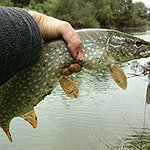 BucketList + Go Fishing At One Of ... = ✓