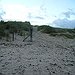 BucketList + Sex On Dunes = ✓