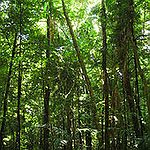 BucketList + Go To Tree Adventures = ✓
