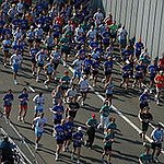 BucketList + Do The Round The Bays = ✓