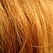 BucketList + Dye My Hair = ✓