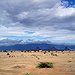 BucketList + Drive Through Africa On A ... = ✓