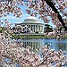 BucketList + Attend Sakura Matsuri Japanese Street ... = ✓