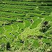BucketList + Explore Vietnam = ✓