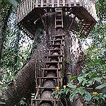 BucketList + Sleep In A Tree House = ✓