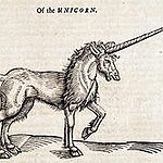 BucketList + Meet A Unicorn :) = ✓