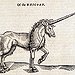 BucketList + Meet A Unicorn :) = ✓