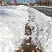 BucketList + Help Someone Shovel Snow = ✓
