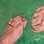 BucketList + Have A Fish Pedicure = ✓