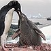 BucketList + Feed Penguins = ✓