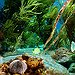 BucketList + Take Pictures/Videos Underwater = ✓