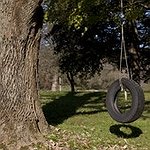 BucketList + Go Rope Swinging = ✓