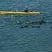 BucketList + Paddle A Kayak = ✓