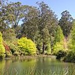 BucketList + Picnic In The National Rhododendron ... = ✓