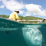 BucketList + Swim With Whale Sharks = ✓