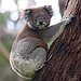 BucketList + Travel To Australia = ✓