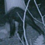 BucketList + Search For Bigfoot = ✓
