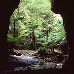 BucketList + Glowworm Cave = ✓