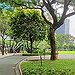 BucketList + Electric Scooter In Bgc = ✓
