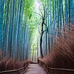 BucketList + Go To Kyoto = ✓
