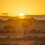 BucketList + Travel To Masai Mara = ✓