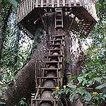 BucketList + Build A Tree House = ✓