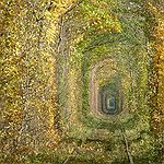 BucketList + Go To The Tunnel Of ... = ✓