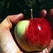 BucketList + Pick Apples From A Tree ... = ✓