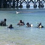 BucketList + Become A Certified Dive Master = ✓