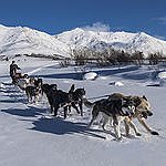 BucketList + Dogsled Through The Alaskan Forest = ✓