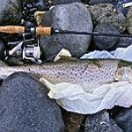 BucketList + Go Fishing A Lot = ✓