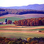 BucketList + Own A Farm = ✓