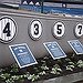 BucketList + Ball Game At Yankee Stadium = ✓