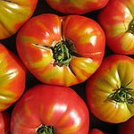 BucketList + Attend La Tomatina In Spain ... = ✓