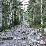 BucketList + Volunteer On Trail Restoration = ✓