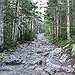 BucketList + Volunteer On Trail Restoration = ✓