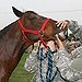 BucketList + Go Horseback Riding In The ... = ✓