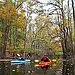 BucketList + Visit Congaree National Park = ✓