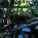 BucketList + Visit Isle Royale National Park = ✓