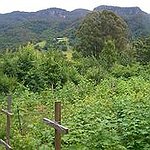 BucketList + Participate In Wwoof = ✓