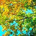 BucketList + Experience Fall = ✓