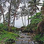 BucketList + Visit Vanuatu And Scuba Dive ... = ✓
