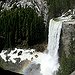BucketList + Family Vacation To Yosemite = ✓