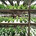 BucketList + Develop A Vertical Farm = ✓