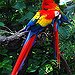 BucketList + Cruise The Amazon River And ... = ✓