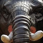 BucketList + Touch A Baby Elephant. = ✓