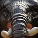 BucketList + Touch A Baby Elephant. = ✓
