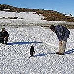 BucketList + Meet Penguins = ✓