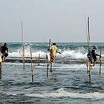 BucketList + Go Deep Sea Fishing = ✓